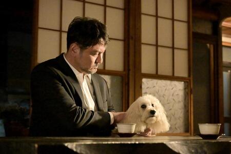 　ＴＢＳ「クジャクのダンス、誰が見た？」から