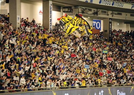 　盛り上がる阪神ファン（撮影・金田祐二）