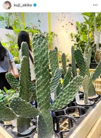 　久慈暁子のインスタグラム＠ｋｕｊｉ＿ａｋｉｋｏより