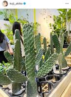 　久慈暁子のインスタグラム＠ｋｕｊｉ＿ａｋｉｋｏより