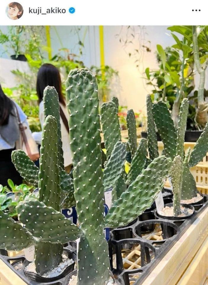 　久慈暁子のインスタグラム＠ｋｕｊｉ＿ａｋｉｋｏより