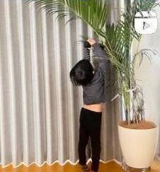 　安田美沙子のインスタグラム＠ｙａｓｕｄａ＿ｍｉｓａｋｏより