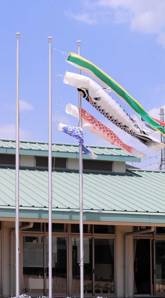 　『吹き流し』のようにサラサラと生きればいいのだ