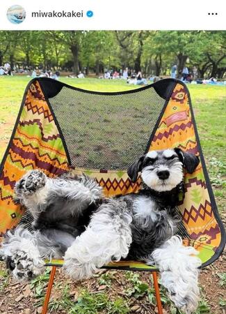 　筧美和子のインスタグラム＠ｍｉｗａｋｏｋａｋｅｉから