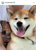 　筧美和子のインスタグラム＠ｍｉｗａｋｏｋａｋｅｉから