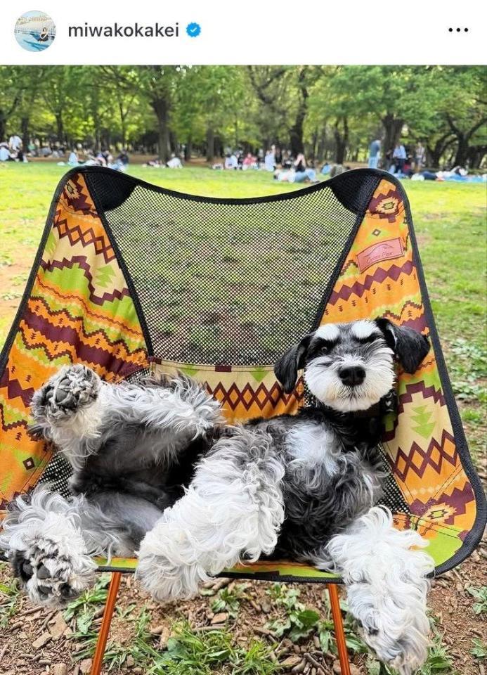 　筧美和子のインスタグラム＠ｍｉｗａｋｏｋａｋｅｉから