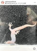 アデレード留学の思い出写真。真矢ミキのインスタグラム＠ｍｉｋｉｍａｙａｏｆｆｉｃｉａｌより