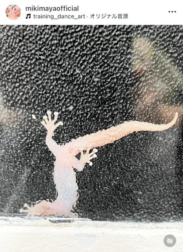 アデレード留学の思い出写真。真矢ミキのインスタグラム＠ｍｉｋｉｍａｙａｏｆｆｉｃｉａｌより