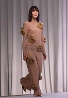 　登壇するのん（撮影・佐々木彰尚）