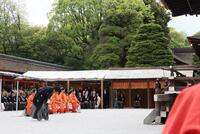 　「社頭の儀」に一般参列者の代表として臨む藤岡弘、＝撮影・石井剣太郎