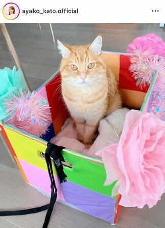 　加藤綾子のインスタグラム＠ａｙａｋｏ＿ｋａｔｏ．ｏｆｆｉｃｉａｌより