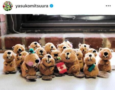　ビーバー！光浦靖子のインスタグラム＠ｙａｓｕｋｏｍｉｔｓｕｕｒａより
