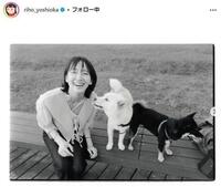 　吉岡里帆インスタグラム＠ｒｉｈｏ＿ｙｏｓｈｉｏｋａから
