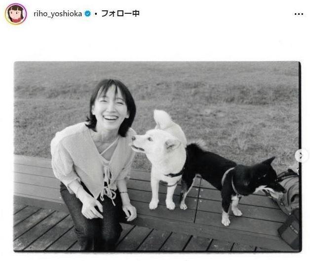 　吉岡里帆インスタグラム＠ｒｉｈｏ＿ｙｏｓｈｉｏｋａから