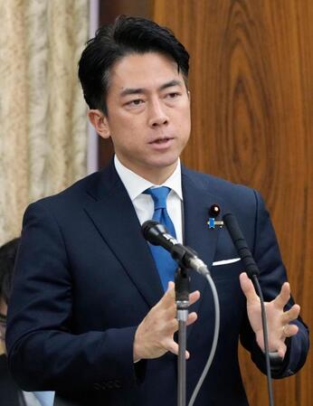 　参院農林水産委で答弁する小泉農相
