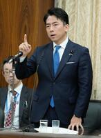 　参院農林水産委で答弁する小泉農相