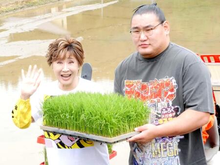 　田植えを行った小林幸子（左）と豊昇龍
