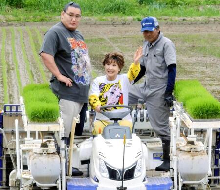 　田植えを行った小林幸子（中央）と豊昇龍（左）