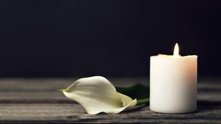 　写真家の西本喜美子さんが死去　※写真はイメージです（izzzy71／stock.adobe.com）