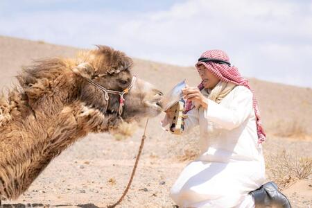 　続編制作が発表されたＴＢＳ系日曜劇場「ＶＩＶＡＮＴ」の前作カット