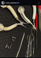 　篠原ともえインスタグラム＠ｔｏｍｏｅ＿ｓｈｉｎｏｈａｒａから