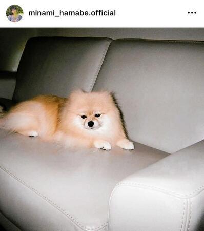 　浜辺美波のインスタグラム＠ｍｉｎａｍｉ＿ｈａｍａｂｅ．ｏｆｆｉｃｉａｌから