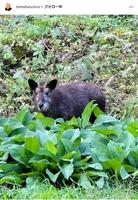 　三浦友和インスタグラム＠ｔｏｍｏｋａｚｕ３ｕｒａから