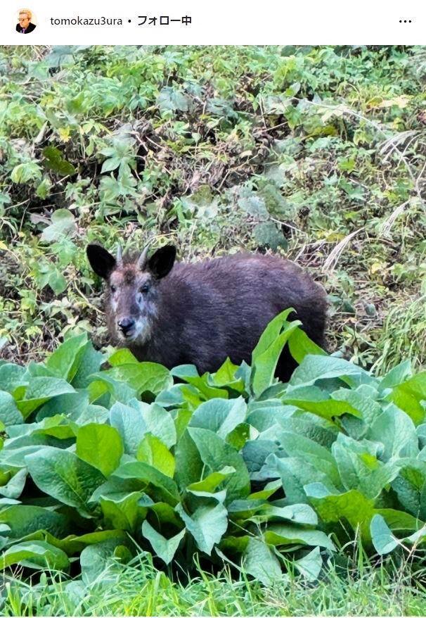　三浦友和インスタグラム＠ｔｏｍｏｋａｚｕ３ｕｒａから