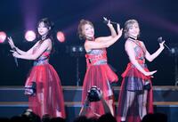 　ライブでパフォーマンスを見せるｓｈｅｒｂｅｔの（左から）青山ひかる、橋本梨菜、河路由希子（撮影・堀内翔）　