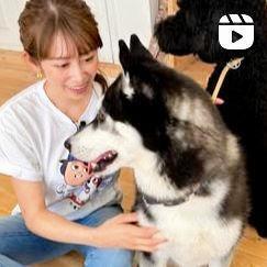 　中川安奈のインスタグラム＠ｎａｋａｇａｗａ．ａｎｎａ１０２２より 