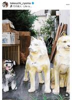 　竹内涼真のインスタグラム＠ｔａｋｅｕｃｈｉ＿ｒｙｏｍａから