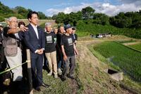 　福島県二本松市の棚田を視察し、説明を受ける小泉農相（左から２人目）＝１５日