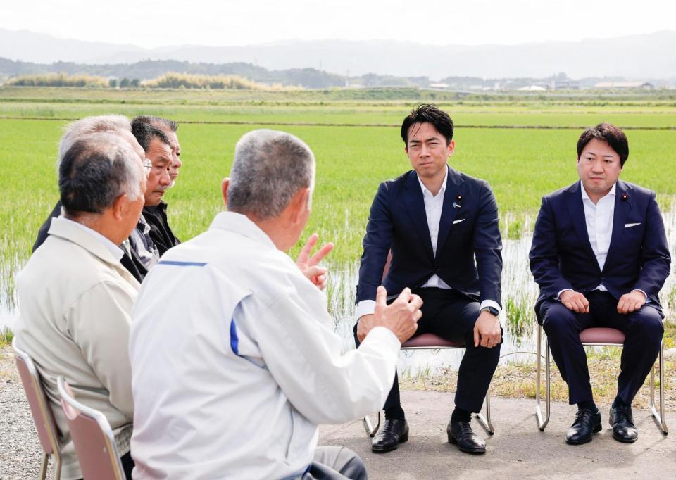 　福島県南相馬市の水田を視察し、コメ生産者らと意見交換する小泉農相（右から２人目）＝１５日