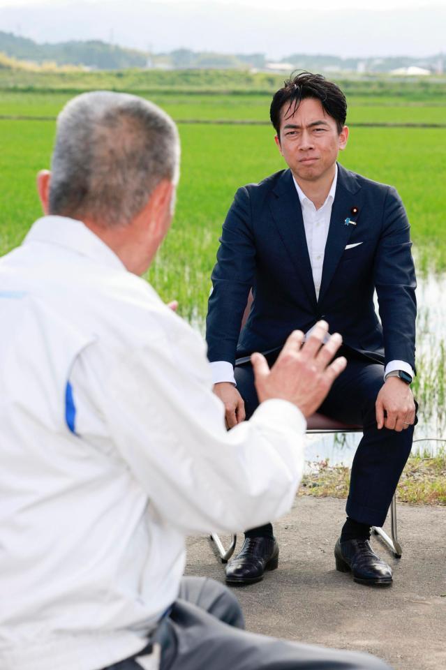 　福島県南相馬市の水田を視察し、農協関係者の話を聞く小泉農相＝１５日