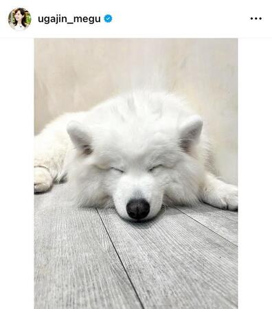 宇賀神メグのインスタグラム＠ｕｇａｊｉｎ＿ｍｅｇｕから