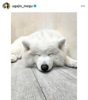 宇賀神メグのインスタグラム＠ｕｇａｊｉｎ＿ｍｅｇｕから