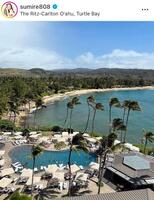 　すみれのインスタグラム＠ｓｕｍｉｒｅ８０８より 