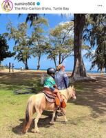 　すみれのインスタグラム＠ｓｕｍｉｒｅ８０８より 