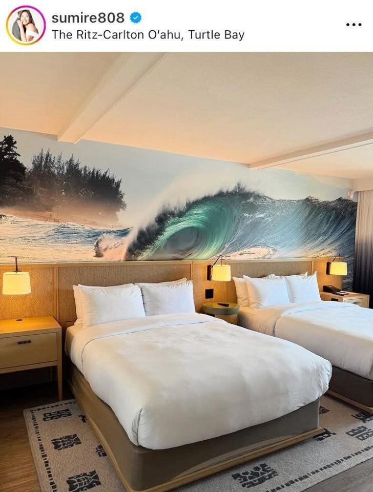 　すみれのインスタグラム＠ｓｕｍｉｒｅ８０８より 