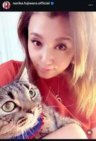 　藤原紀香のインスタグラム＠ｎｏｒｉｋａ．ｆｕｊｉｗａｒａ．ｏｆｆｉｃｉａｌから