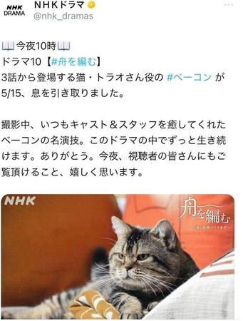 ＮＨＫドラマのＸより