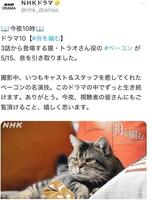 ＮＨＫドラマのＸより