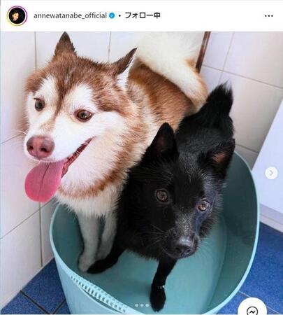 　杏インスタグラム＠ａｎｎｅｗａｔａｎａｂｅ＿ｏｆｆｉｃｉａｌから