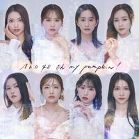 　２０周年記念シングルの６６枚目シングル「Ｏｈ　ｍｙ　ｐｕｍｐｋｉｎ！」通常盤ⓒＡＫＢ４８