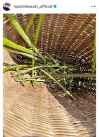 佐々木希のインスタグラム＠ｎｏｚｏｍｉｓａｓａｋｉ＿ｏｆｆｉｃｉａｌから