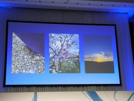 　松坂桃李が披露した写真、一番左がカニの写真