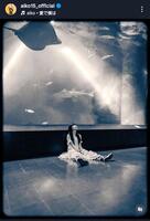 ａｉｋｏインスタグラム＠ａｉｋｏ１５＿ｏｆｆｉｃｉａｌから