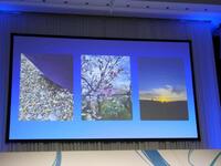 　松坂桃李が披露した写真、一番左がカニの写真