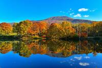 　紅葉が美しい笹ヶ峰