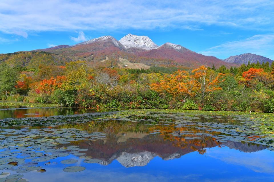 　紅葉が美しい秋のいもり池